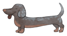 Teckel Coffee & Cocktails logo — a harlequin dachshund